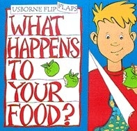What Happens to Your Food?