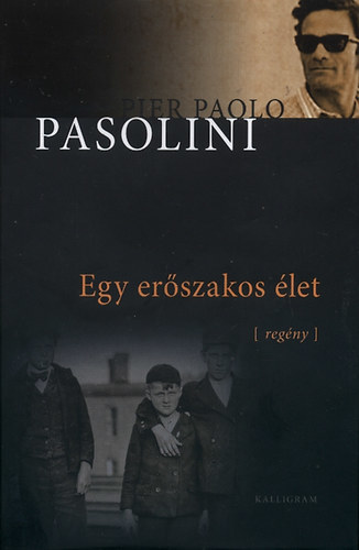 Egy erőszakos élet (regény)