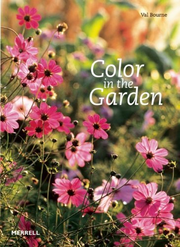 Colour in the Garden