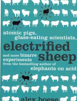 Electrified Sheep