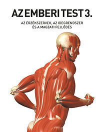 Az emberi test 3. Az érzékszervek, az idegrendszer