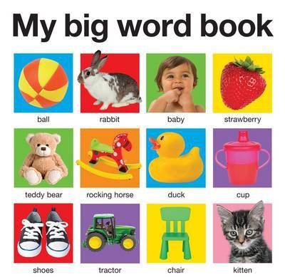 My Big Word Book