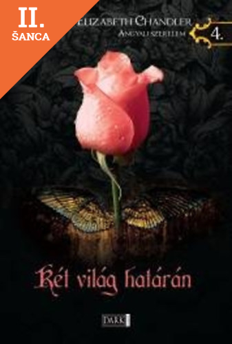 Lacná kniha Két világ határán Angyali szerelem 4.