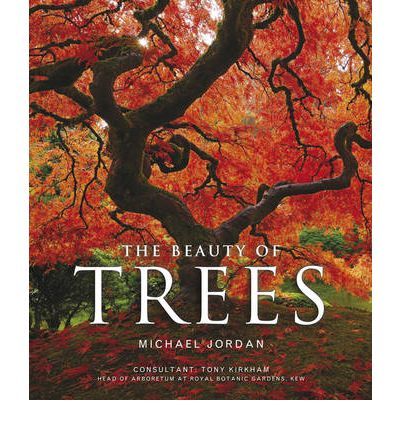 Beauty of Trees