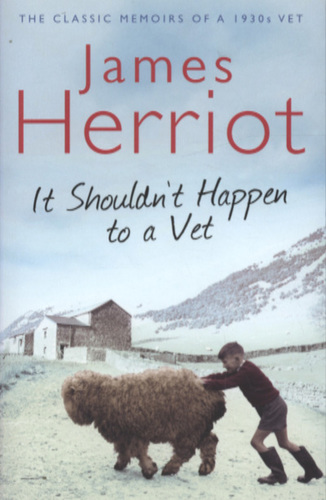 It Shouldn't Happen to a Vet