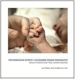Psychosociální aspekty v současném českém porodnictví