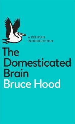Domesicated Brain