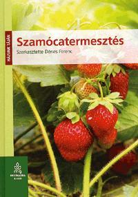 Szamócatermesztés