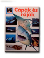 Cápák és ráják