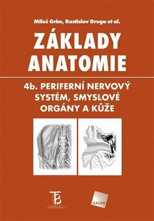 Základy anatomie - 4b. Periferní nervový systém, smyslové orgány a kůže