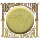 Kniha Young Neil & Crazy Horse - Psychedelic Pill 2CD
