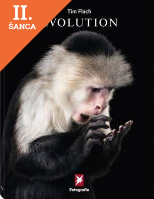 Lacná kniha Stern Portfolio No. 74 Evolution