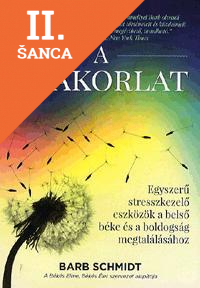 Lacná kniha A gyakorlat
