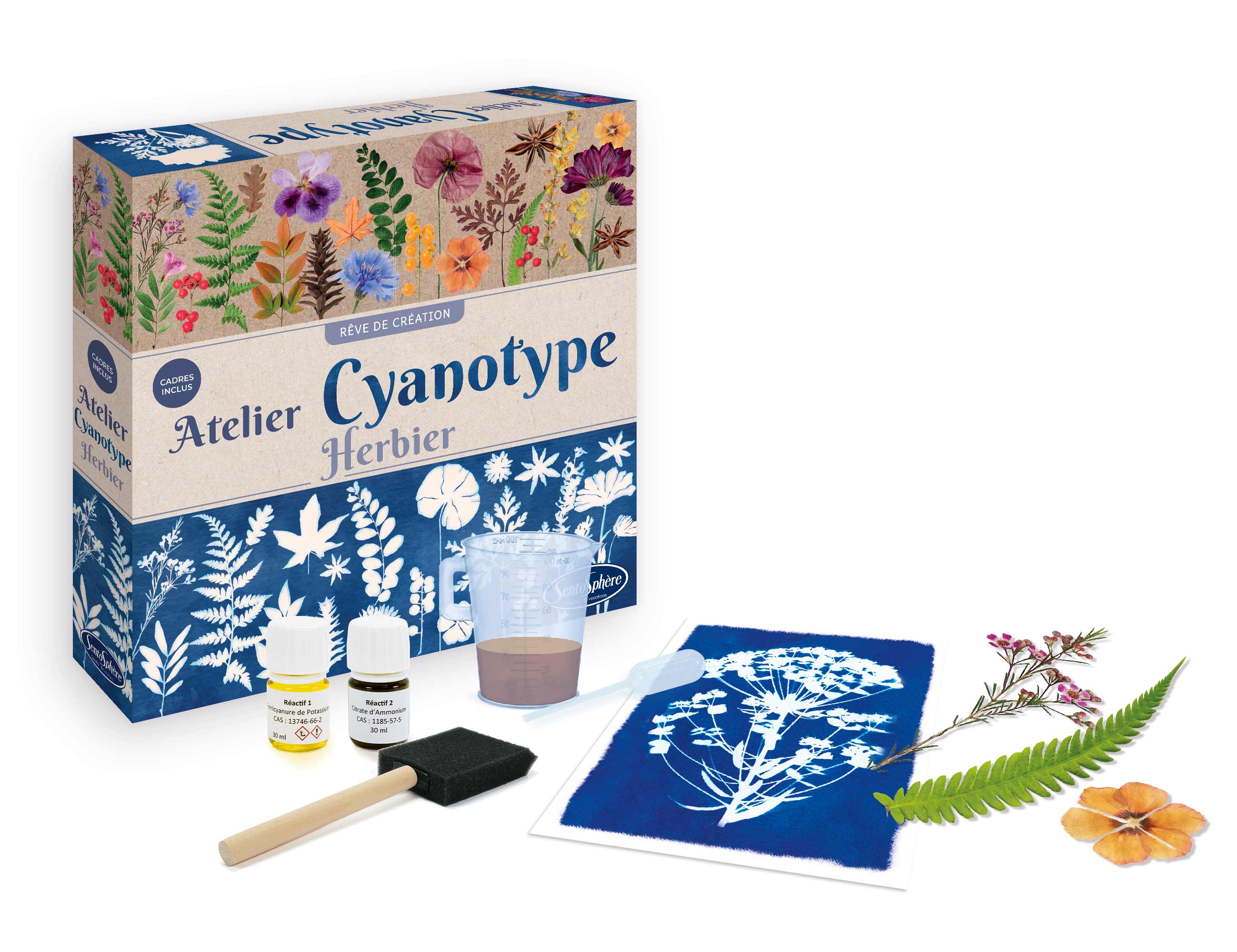 Ateliér na tvorbu Modrotlače- herbárium