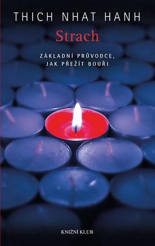 Strach. Základní průvodce, jak přežít bouři