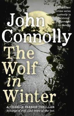 Wolf in Winter
