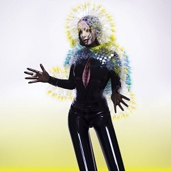 Bjork - Vulnicura   CD