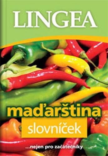 Kniha Maďarština slovníček