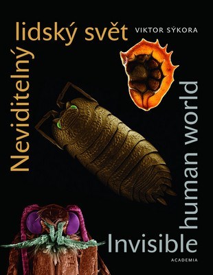 Kniha Neviditelný lidský svět/Invisible Humann World - Viktor Sýkora