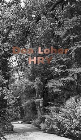 Kniha Hry - Dea Loher