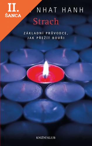 Lacná kniha Strach. Základní průvodce, jak přežít bouři