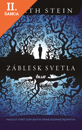 Lacná kniha Záblesk svetla