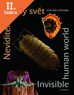Lacná kniha Neviditelný lidský svět/Invisible Humann World