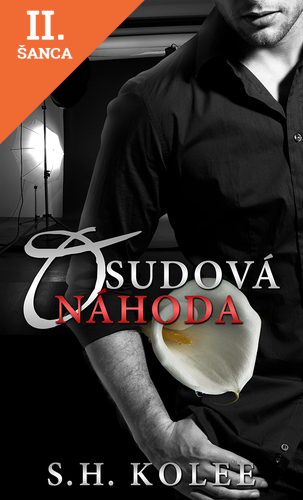 Lacná kniha Osudová náhoda