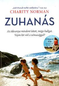 Kniha Zuhanás - Norman Charity