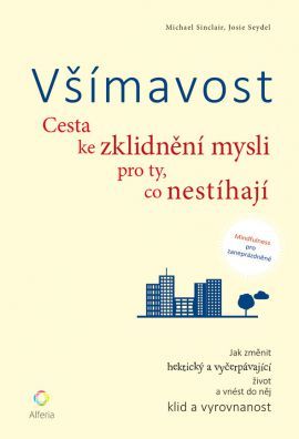 Všímavost