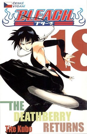 Bleach 18