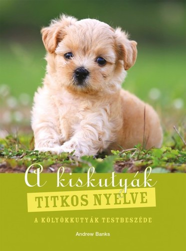 A kiskutyák titkos nyelve - A kölyökkutyák testbeszéde