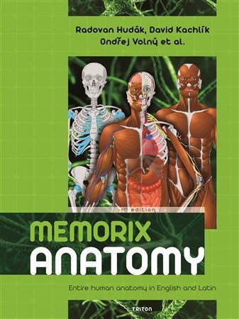 Memorix Anatomy