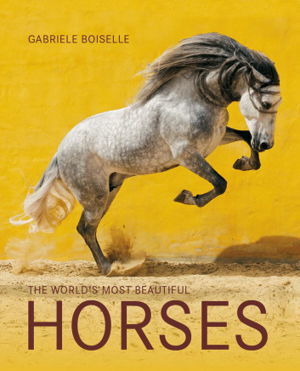 World's Most Beautiful Horses