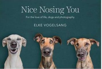 Nice Nosing You  For the Love of Life Dogs and Photography