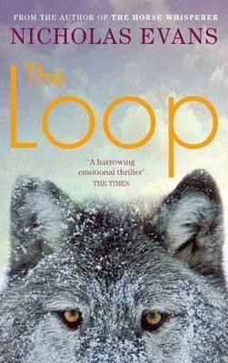 The Loop