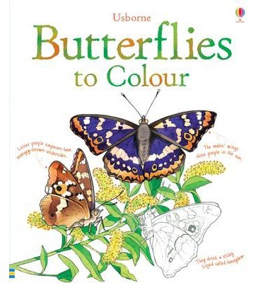 Butterflies Colouring Book