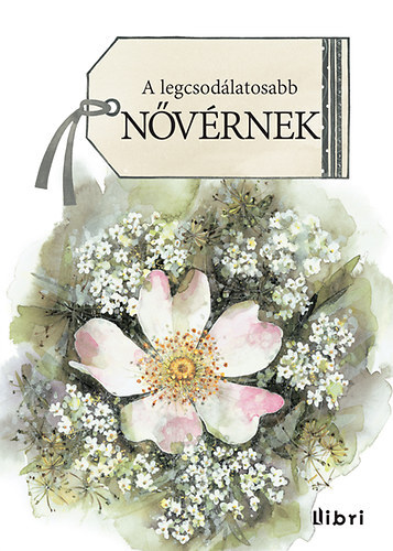 Kniha A legcsodálatosabb nővérnek - Helen Exley