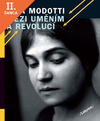 Lacná kniha Mezi uměním a revolucí