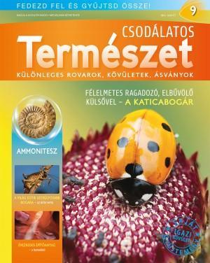 CSODÁLATOS TERMÉSZET 9. + Ammonit (őskövület)
