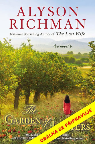 Kniha Kabinet milostných dopisů - Alyson Richmanová