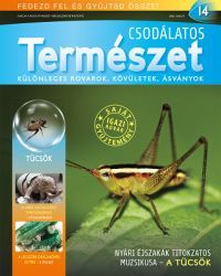 Csodálatos természet 14