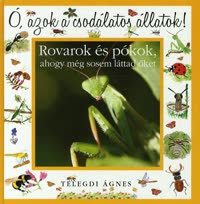 Kniha Rovarok és pókok, ahogy még sosem láttad őket - Ágnes Telegdi