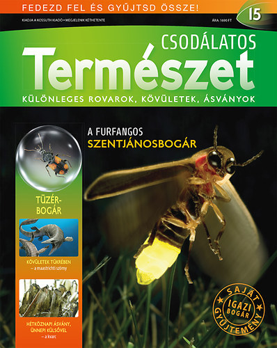 Csodálatos természet 15. - + ajándék Tűzérbogár