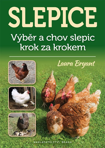 Slepice - Výběr a chov slepic krok za krokem