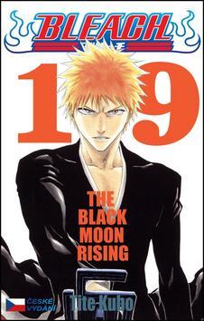 Kniha Bleach 19