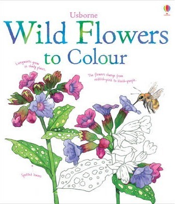 Wild Flowers to Colour