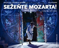 Kniha Sežeňte Mozarta! - Jiří Kottas,Jan Schmid