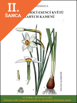 Lacná kniha Léčení pomocí esencí květů a drahých kamenů