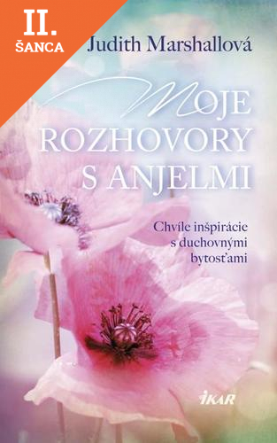 Lacná kniha Moje rozhovory s anjelmi